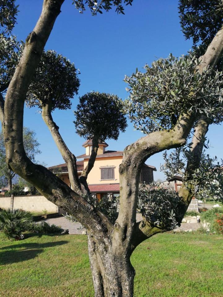 Ponte Vestilli B&B Limatola Exterior foto